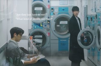 Романтика прачечной (2026)